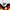 1988 Alemania 1a Equipacion